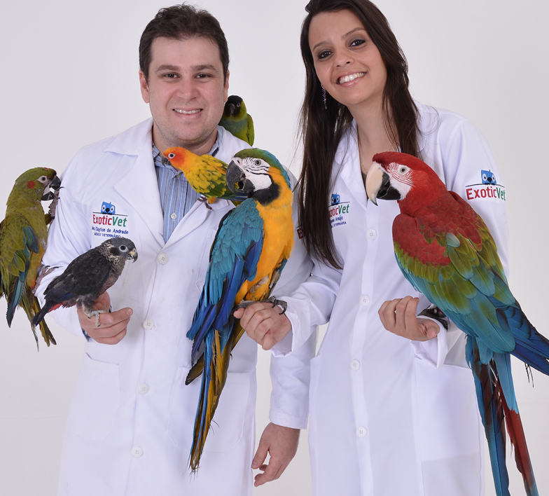 Pet Não Convencionais - Aves Silvestres