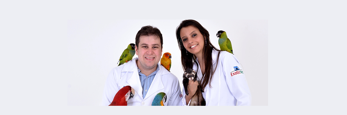 Veterinários especializados em animais silvestres e exoticos