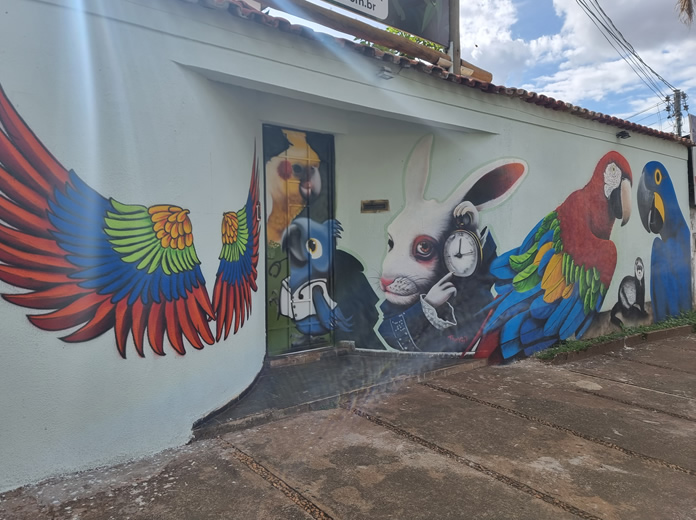 ExoticVet Entrada Grafite Gil Soares
